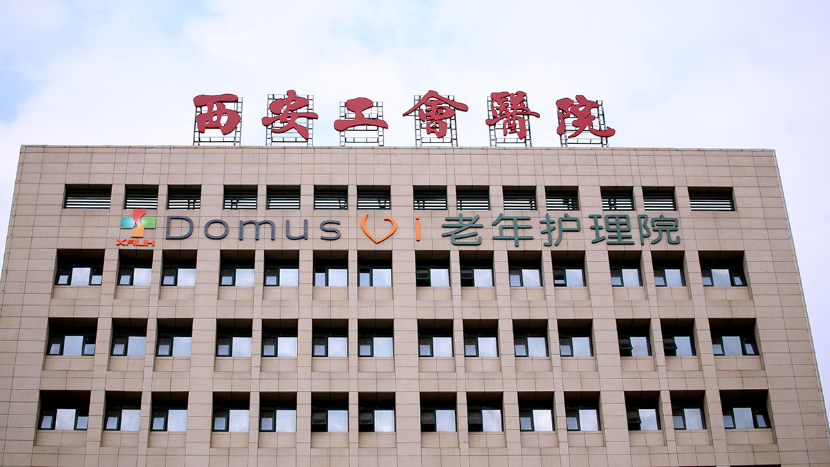 Domusvi Domusvi