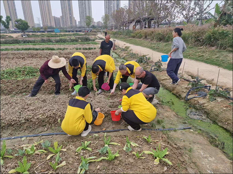 National recognition for vocational training of autistic students in Jinjiang